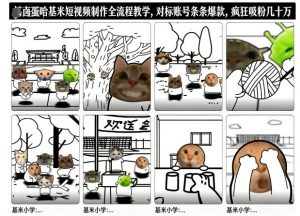 卤蛋哈基米短视频制作全流程教学，条条爆款，疯狂吸粉几十万-金融资料分享