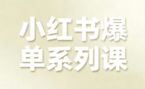 小红书爆单系列课,聚焦小红书电商全链路增长(更新)-金融资料分享