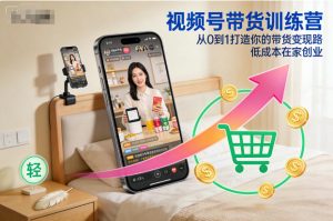 视频号带货训练营,从0到1打造你的带货变现路,低成本在家创业-金融资料分享