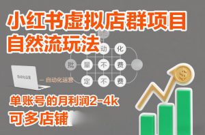 小红书虚拟店群项目，自然流玩法，批量自动化，稳定不费号，单账号的月利润2-4k，可多店矩阵-金融资料分享