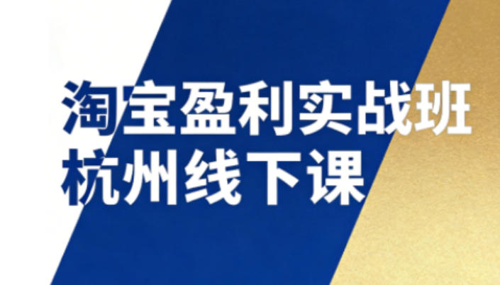 淘宝盈利实战班杭州线下课12月26-28日（音频+字幕），帮你掌握SOP流程+12门核心技术-金融资料分享