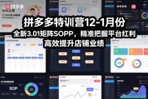 拼多多特训营12-1月份,全新3.01矩阵Sop,精准把握平台红利,高效提升店铺业绩-金融资料分享