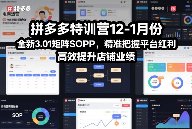 拼多多特训营12-1月份,全新3.01矩阵Sop,精准把握平台红利,高效提升店铺业绩-金融资料分享