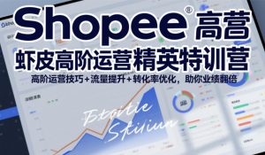 Shopee虾皮高阶运营精英特训营,高阶运营技巧+流量提升+转化率优化,助你业绩翻倍-金融资料分享