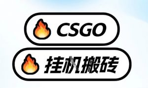 真全网独家CSGO挂G，最新玩法,单日捡漏1K+，不用电脑，不用打游戏【揭秘】-金融资料分享