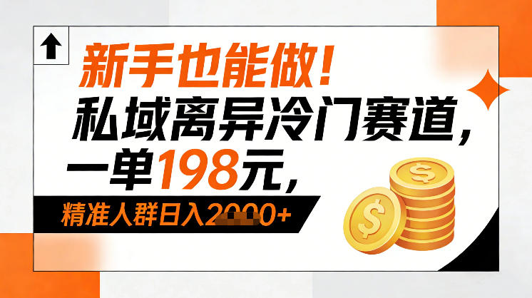 新手也能做！私域离异冷门赛道，一单198，精准人群日入1k+-金融资料分享