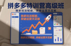 拼多多特训营高阶班,独家玩法赋能,突破运营天花板(更新26年1月)-金融资料分享