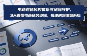 电商财税风控体系与利润守护，3天看懂电商税务逻辑，搭建利润防御系统-金融资料分享