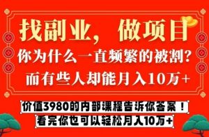 价值3980的网创内部课程,告诉你互联网创业月入10个W的秘密【揭秘】-金融资料分享