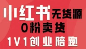 小红书无货源0粉电商课，开店准备、选品策略、笔记撰写、视频剪辑、数据分析、账号打造、资料文档（更新）-金融资料分享