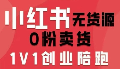 小红书无货源0粉电商课，开店准备、选品策略、笔记撰写、视频剪辑、数据分析、账号打造、资料文档（更新）-金融资料分享