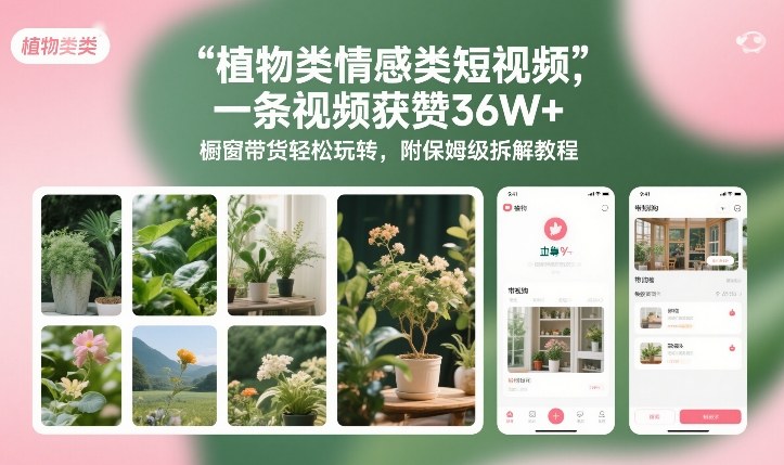 植物类情感类短视频，一条视频获赞36W+，橱窗带货轻松玩转，附保姆级拆解教程-金融资料分享