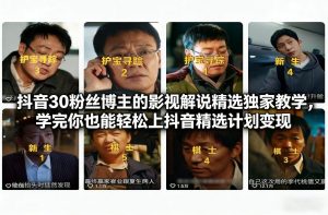 抖音30万粉丝博主的影视解说精选独家教学,学完你也能轻松上抖音精选计划变现-金融资料分享
