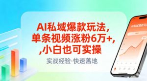 AI私域爆款玩法,单条视频涨粉6W+,小白也可实操-金融资料分享