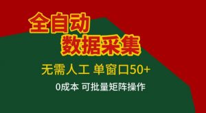 全自动数据采集，无需人工，单窗口50+，0成本可批量矩阵操作【揭秘】-金融资料分享