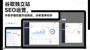 谷歌独立站SEO运营,手把手教你提升网站排名、分析竞争对手(更新2026)-金融资料分享