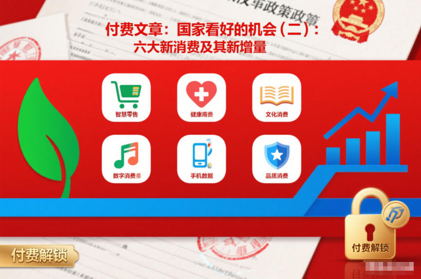 付费文章：国家看好的机会(二)：六大新消费及其新增量-金融资料分享
