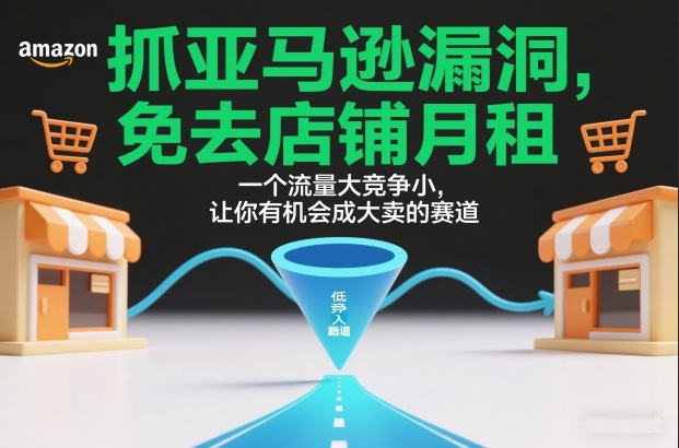 抓亚马逊漏洞，免去店铺月租，一个流量大竞争小，让你有机会成大卖的赛道-金融资料分享