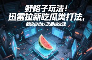 野路子玩法！迅雷拉新吃瓜类打法，截流自热以及后端处理-金融资料分享